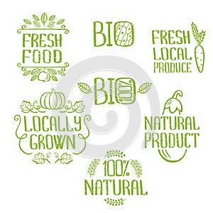 Handdrawn lettering isolated elements.