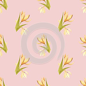 Handdrawn lily seamless pattern. Watercolor cream lily on the light pink background. Scrapbook design elements. Typography poster