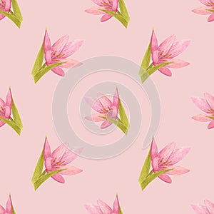 Handdrawn lily seamless pattern. Watercolor pink lily with green leaves on the pink background. Scrapbook design elements.