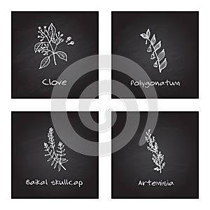 Handdrawn Medicinal Herbs - Health and Nature Set