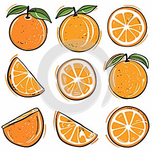 Handdrawn orange fruit illustrations, various views including whole oranges, half, slices. Vibrant