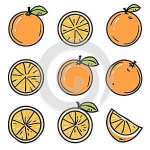 Handdrawn oranges full, cut half, sliced. Cartoonstyle citrus fruits, fresh orange illustrations