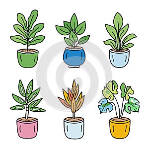 Handdrawn potted plant collection includes six different houseplants. Vibrantly colored pots photo