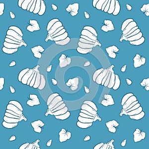 Handdrawn pumpkin vector seamless pattern. White squash on blue background. Sparse print with pumpkin photo