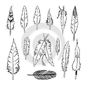 Handdrawn set of feathers