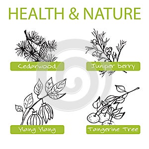 Handdrawn Set - Health and Nature. Collection of