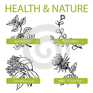 Handdrawn Set - Health and Nature. Collection of