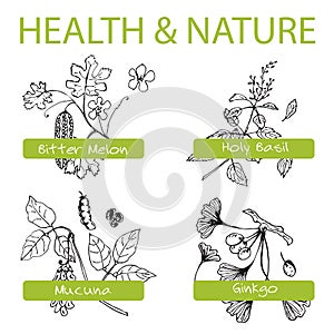 Handdrawn Set - Health and Nature. Collection of