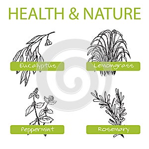 Handdrawn Set - Health and Nature. Collection of photo