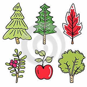 Handdrawn trees plants illustration featuring pine, fir, red leaf tree, berry branch, apple