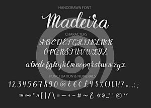 Handdrawn Vector Script font. Brush style textured calligraphy cursive typeface.