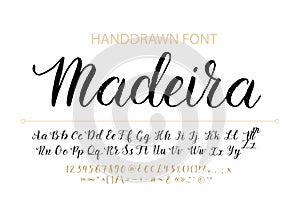 Handdrawn Vector Script font. Brush style textured calligraphy cursive typeface.