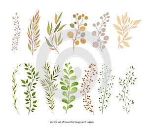 Handdrawn Vector Watercolour style, nature illustration. Set of