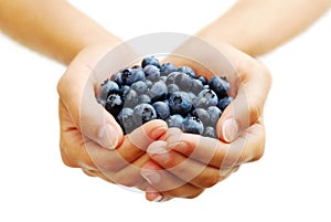 Handful of Blueberries photo