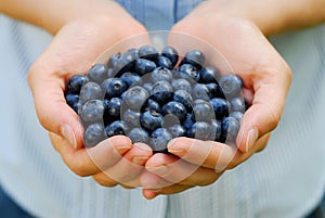 Handful of Blueberries photo