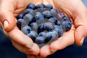 Handful of blueberries