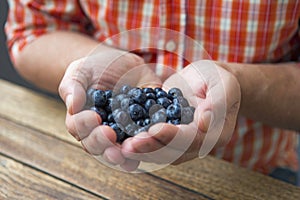 Handful of blueberries