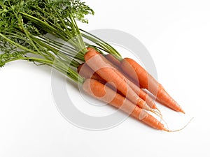 A handful of carrots with their respective branches and leaves photo