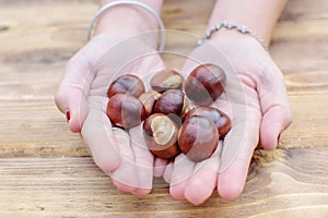 Handful of conkers with slight added vignette photo