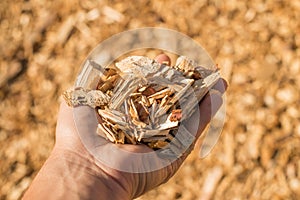 A handful of dry technological wood chips.