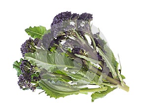 Handful of early purple sprouting broccoli spring vegetable, isolated on white. Overhead view.