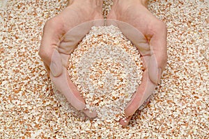 Handful of eggshell in male hands