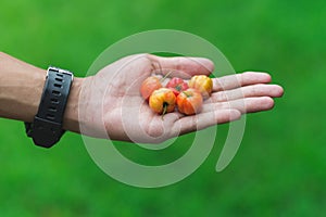 Handful of fruits. Concept of fruitarianism, raw foodism, gift or care