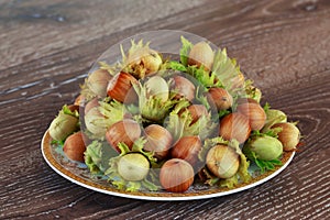 The handful of hazelnuts