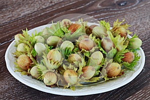 The handful of hazelnuts