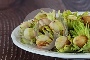 The handful of hazelnuts