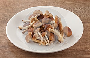 Handful of honey agaric