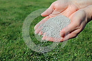 A Handful Of Lawn Fertilizer