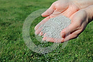 A Handful Of Lawn Fertilizer photo