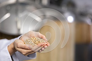 Handful of milled malted grain in hands of female brewmaster