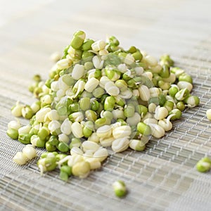 Handful of mung bean sprouts