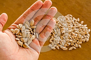 Handful of pumpkin seeds on a hand in the foreground and in the background, seeds heaped on a wooden table photo