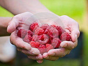 Handful raspberries
