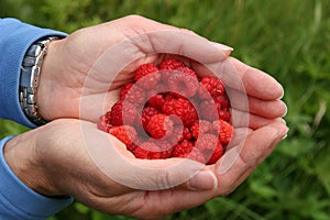 Handful of raspberries