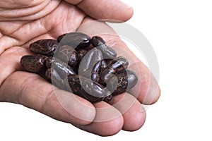 Handful of raw cacao beans on white