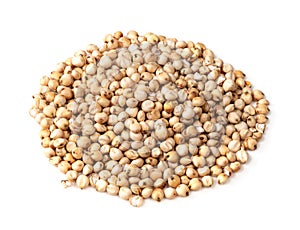 Handful of raw unhulled Sorghum grains on white