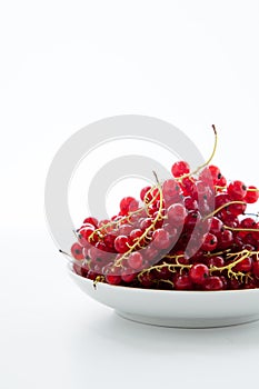 Handful of red currants in a white plate on a white background