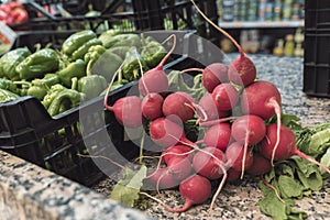 A handful of red radishes on a fruit shop counter photo