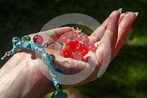 A handful of red ripe stone berry in the palm of a girl. Long fingernails