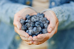 A handful of ripe blueberries in the hands, close-up. Summer organic berries