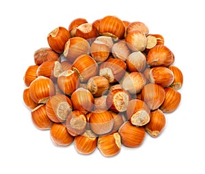 Handful of ripe hazelnuts in the shell