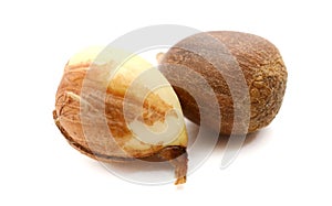 Handful of ripe hazelnuts in the shell close up.