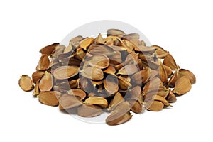 A handful of roasted beech nuts