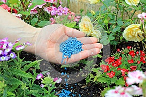 A Handful Of Slug And Snail Pellets