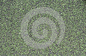 Handful of small stones