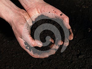 Handful of soil photo